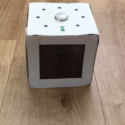 VideoToGif_GIF-2.gif