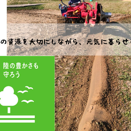 陸の豊かさ、日本の田んぼ