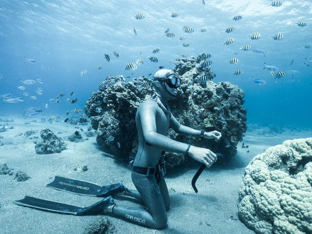 הגוף והתודעה בצלילה חופשית