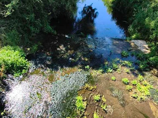 6th July 2026 River Deben Environment Monitoring Results