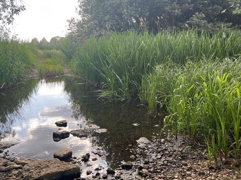 1st June 2026 River Deben Environment Monitoring Results