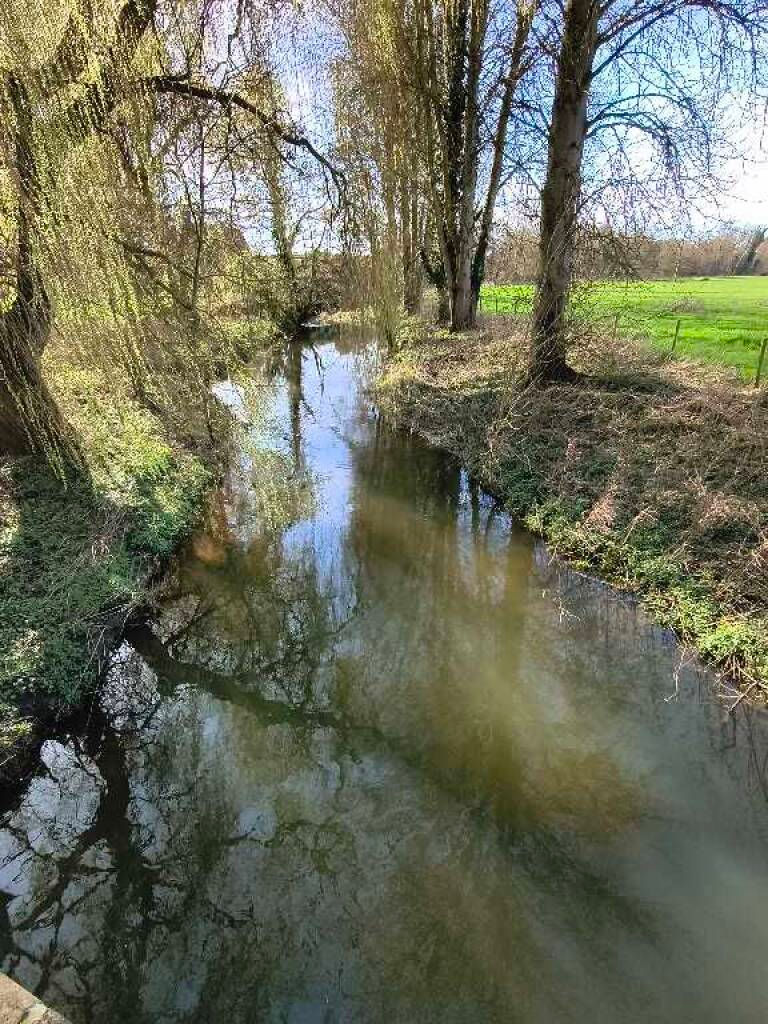 Photo of the river on a clear day, flowing slowly through trees on the bank