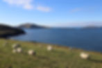 Aisling Tours specialises in custom tours of Ireland.