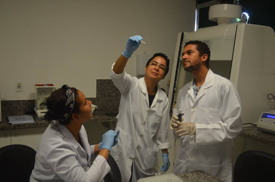 Extração de DNA
