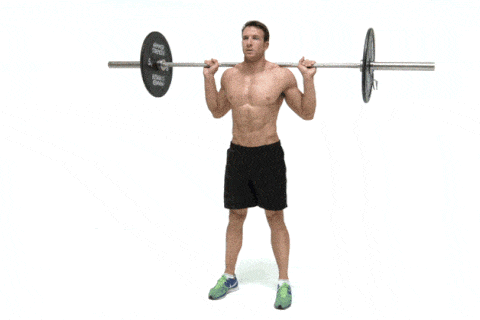 Squat con barra.gif