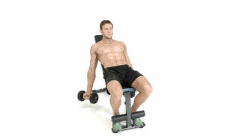 Biceps inclinado banco GIF.gif