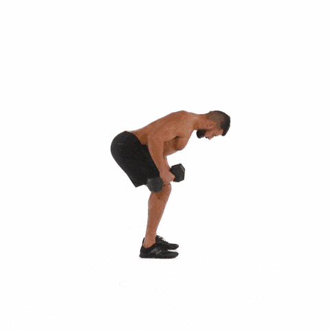 dumbbellrow-1457030613.gif
