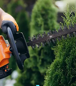 Screenshot 2025-05-04 at 13-29-28 Wix Website Editor Gladiator Official.png