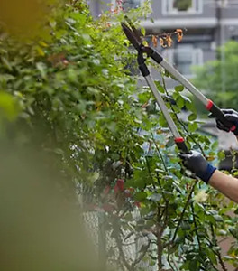 Screenshot 2025-05-04 at 13-31-28 Wix Website Editor Gladiator Official_edited.jpg