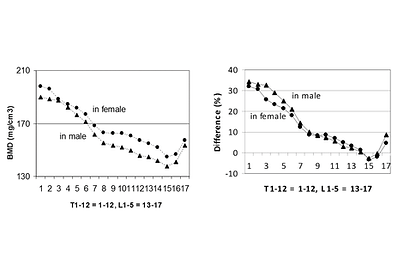 Budoff BMD Acad Rad 2012-4_Figs_SQ.png