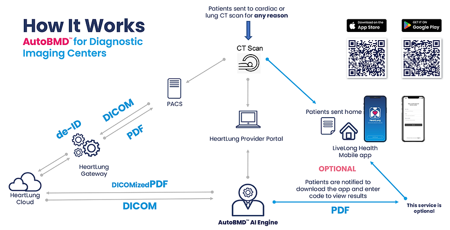 AutoBMD_Workflow2_1920.png