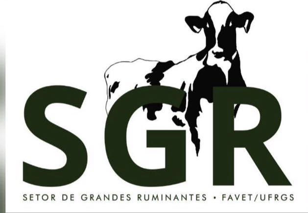 WhatsApp Image 2018-06-21 at 01.18.50