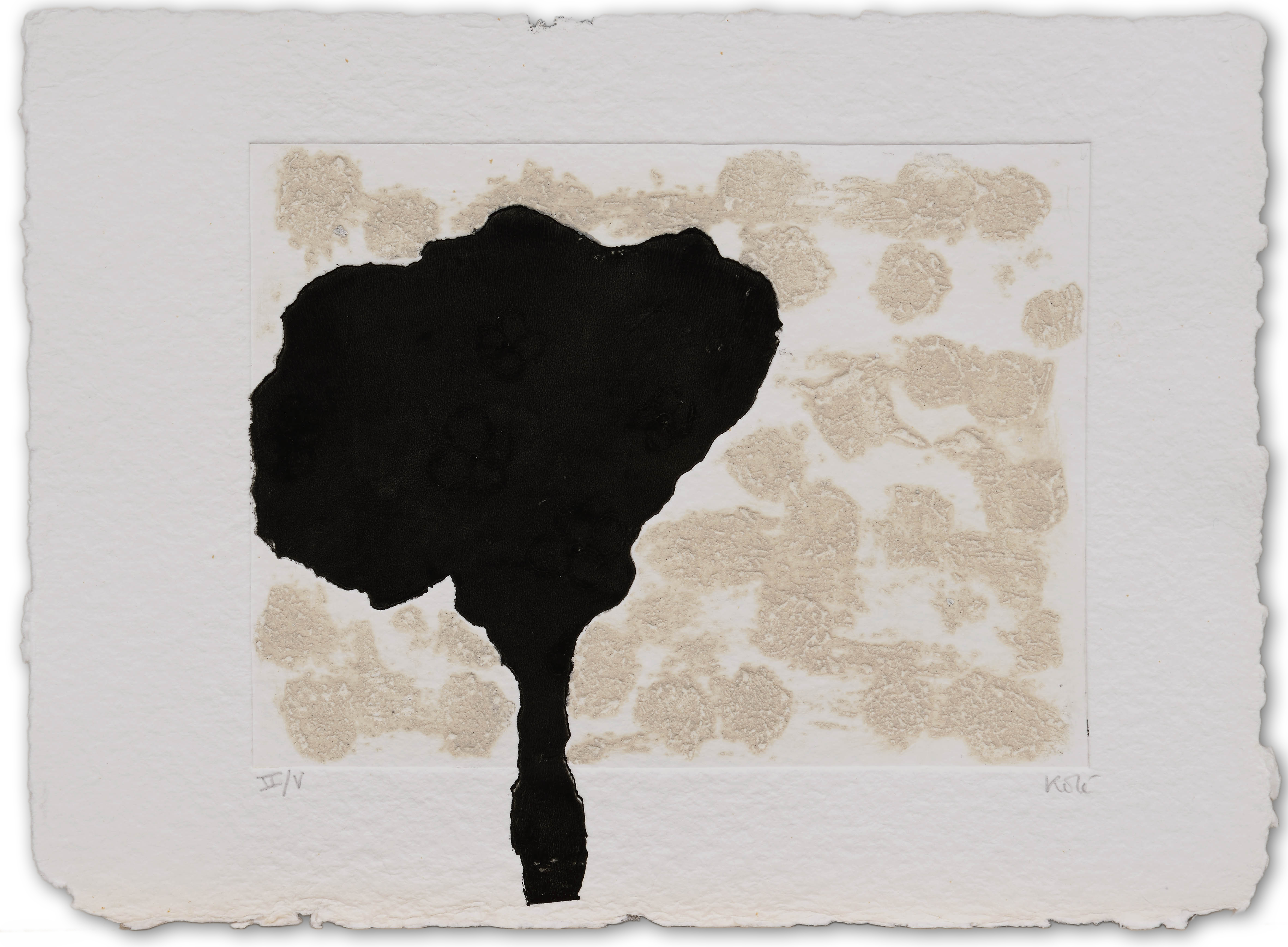 L'ARBRE NOIR