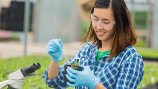 Lessons in agronomy at Collierville High School