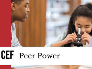 Peer Power