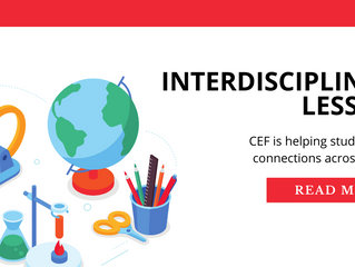 Taking an interdisciplinary approach to learning