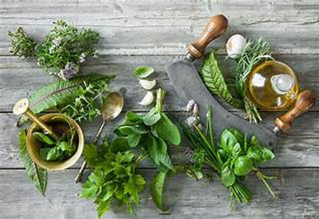 Herbs.jpg