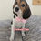 Thumbnail: Beagle - Betty