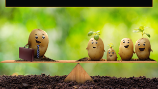Post-Father's Day Reflection: Balancing Personal and Professional Life