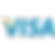 visa (1).png