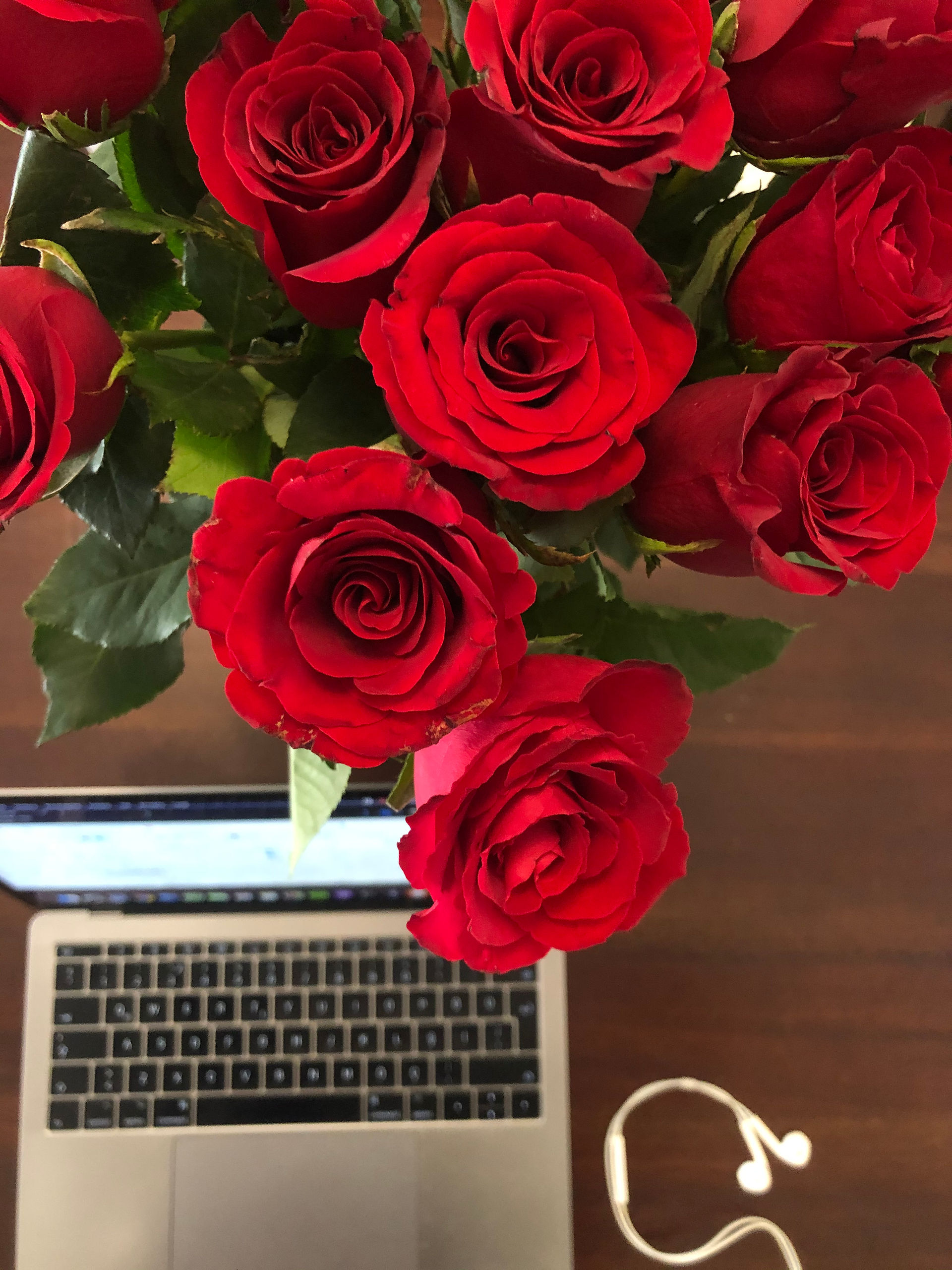 Home-officing at its best
