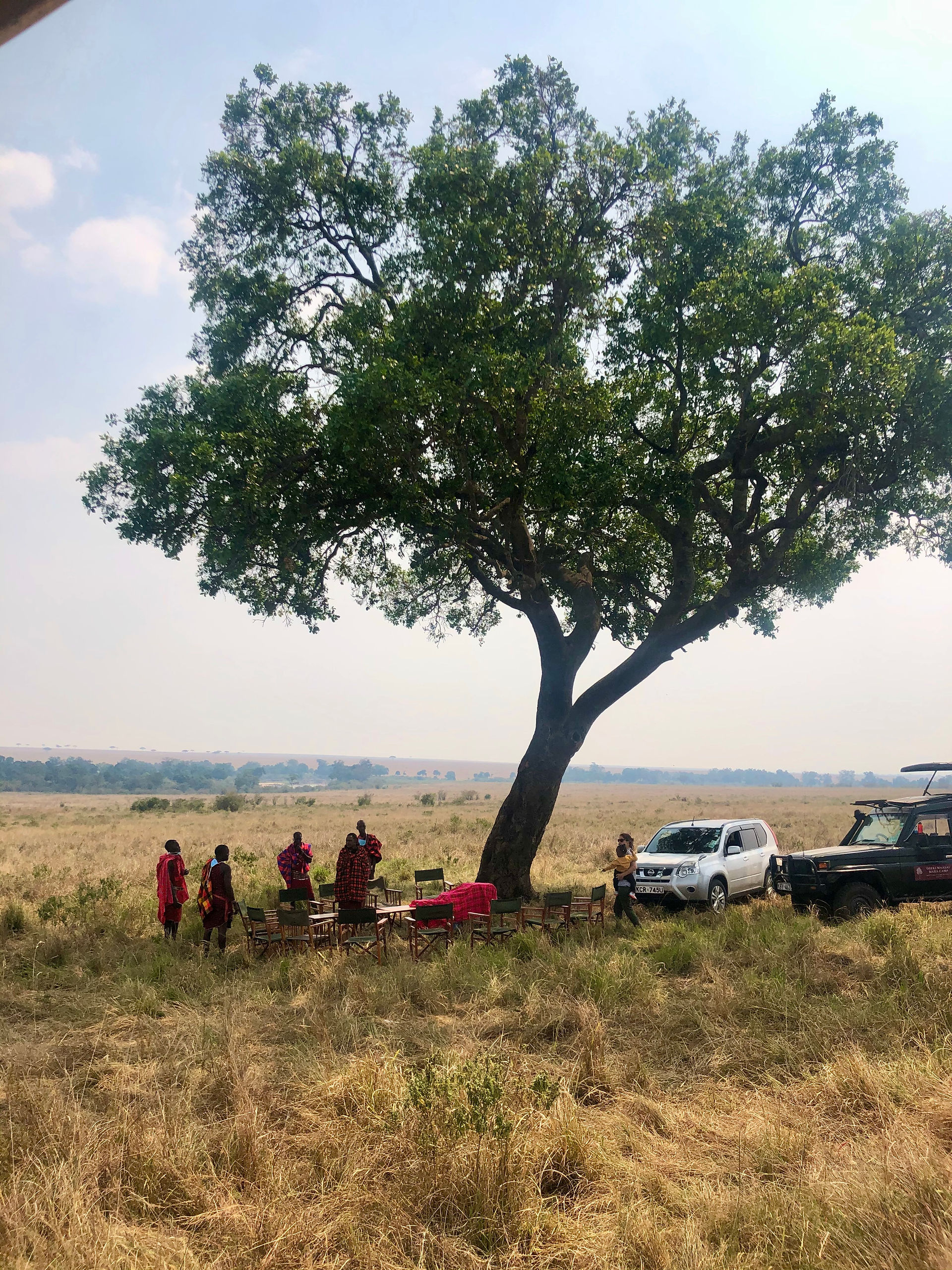 Bush lunch