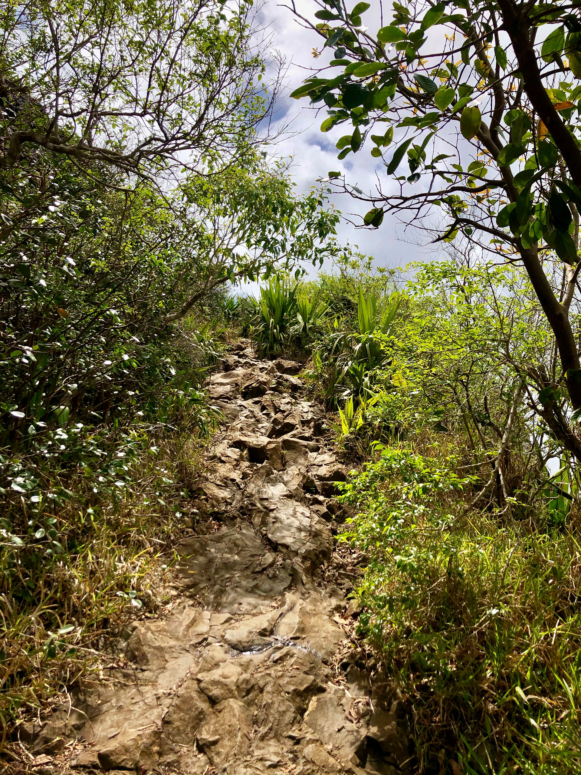 The Thumb hiking route