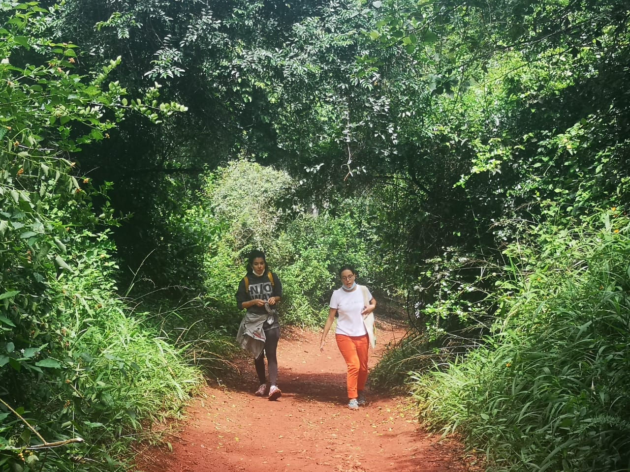 Karura Forest on a Sunday