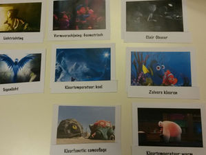 Les 5: Beeldaspecten
