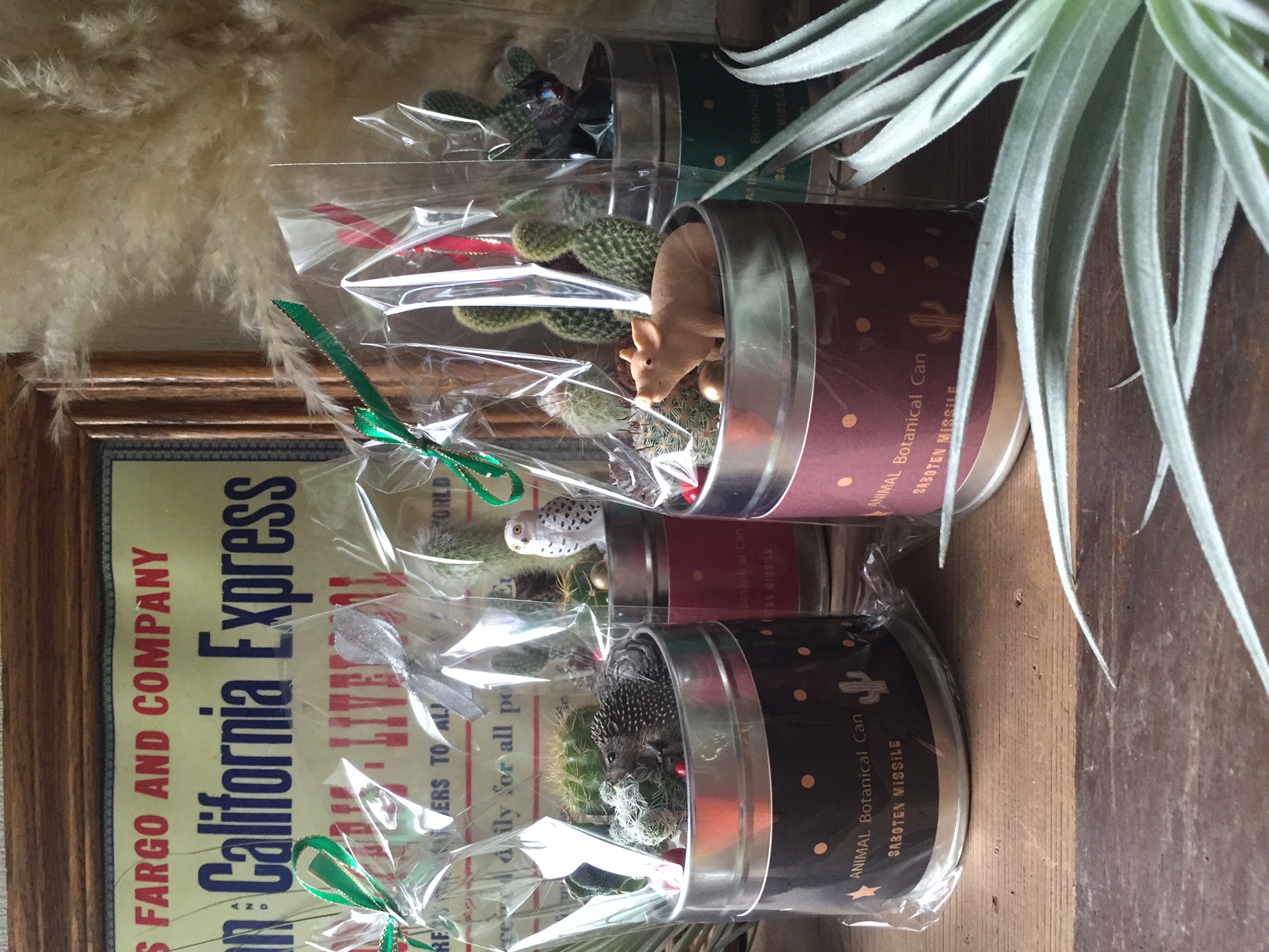 Season GIFT item.