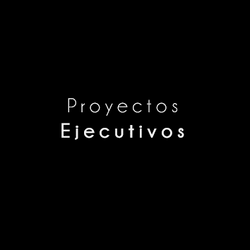 PROYECTOS EJECUTIVOS