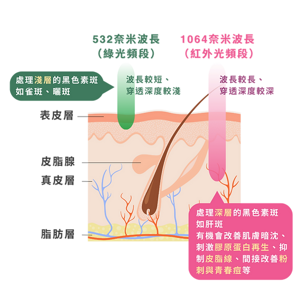 八倍淨膚雷射1.png