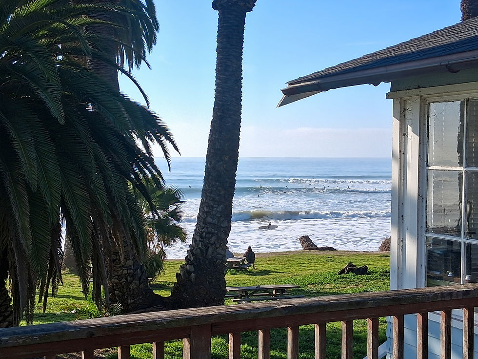 Refugio Longboard Classic