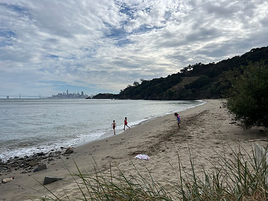 IMG_0950.jpeg