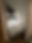 IMG_1687.jpeg