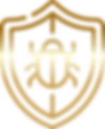 anti-virus.png