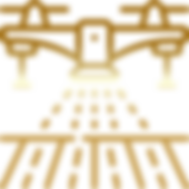 zumbido.png