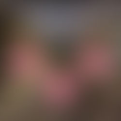 Architecte d’intérieur - Chargé de projets (H/F)