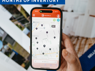 What is 'Months of Inventory'