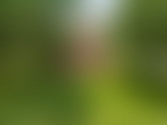 How to Maintain Resale Value While Enjoying Your Home