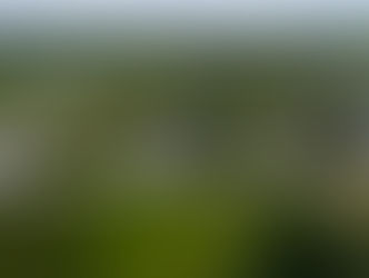 The Art of Downsizing: Tips for Seniors Transitioning to a Smaller Home