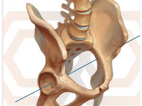 Inclinazione Pelvica vs. Orientamento Pelvico