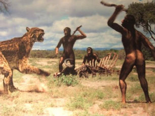 Relationship Between Homo Sapiens and Biodiversity