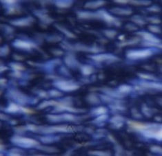 Picture1.jpg