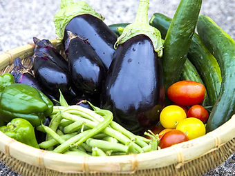 野菜