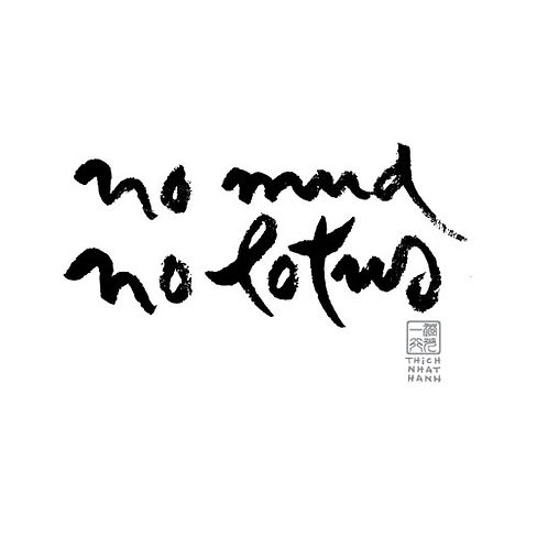 no mud.jpeg