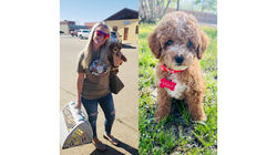 6B7B2CD7-C07E-4A19-88EF-FF840D9FEEF8