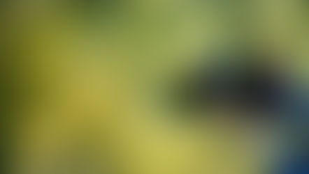 Aperture - letting the light in