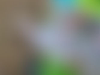 Suivez le multi accueil Pouce Poucette sur Facebook