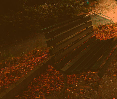 Discussion sur un banc, photo par Stephanie N'cho